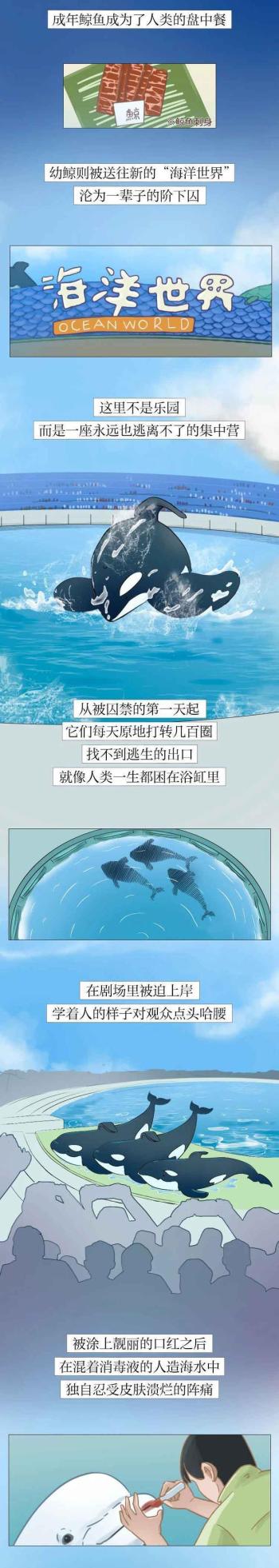 为啥说尽量别带孩子去“海洋馆”？漫画解析，看完你还会去吗？  -图6