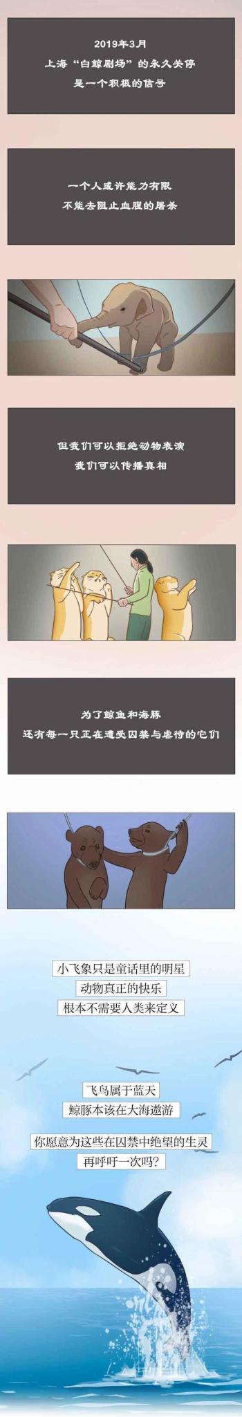 为啥说尽量别带孩子去“海洋馆”？漫画解析，看完你还会去吗？  -图8