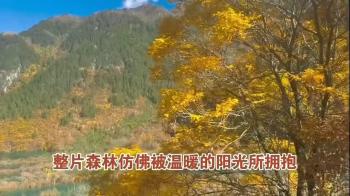 2024年九寨沟观赏季节最佳观赏时段来了。  -图2