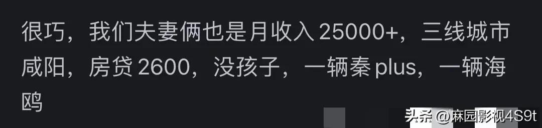 请问夫妻月收入12000元左右，买一辆宝马3系压力大不大？  -图3