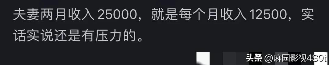 请问夫妻月收入12000元左右，买一辆宝马3系压力大不大？  -图6