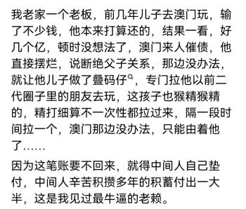 欠债金额达到一辈子也还不了的情况你会怎么办？网友评论真实分享  -图7