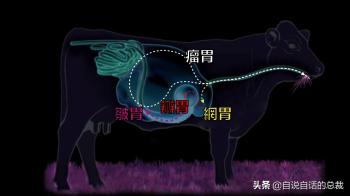 阿努纳奇在创造人类之前，还创造过一种生物  -图106